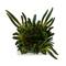 8" Green Foliage Artificial Plant with White Ceramic Pot